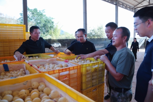 _cgi-bin_mmwebwx-bin_webwxgetmsgimg__&MsgID=<span style='background-color:;'><span style='background-color:;'><span style='background-color:;'><span style='background-color:;'>19768576580</span></span></span></span>6612410&skey=@crypt_ea2cb405_fd9958ff84183f5d37a0f4ceacc28d4e&mmweb_appid=wx_webfilehelper